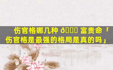 伤官格哪几种 🐟 富贵命「伤官格是最强的格局是真的吗」